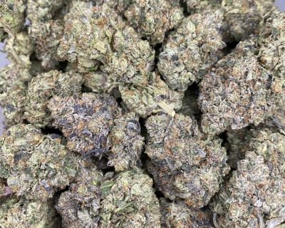 ROTTWEILER PINK (MEGA GAS) - Image 2